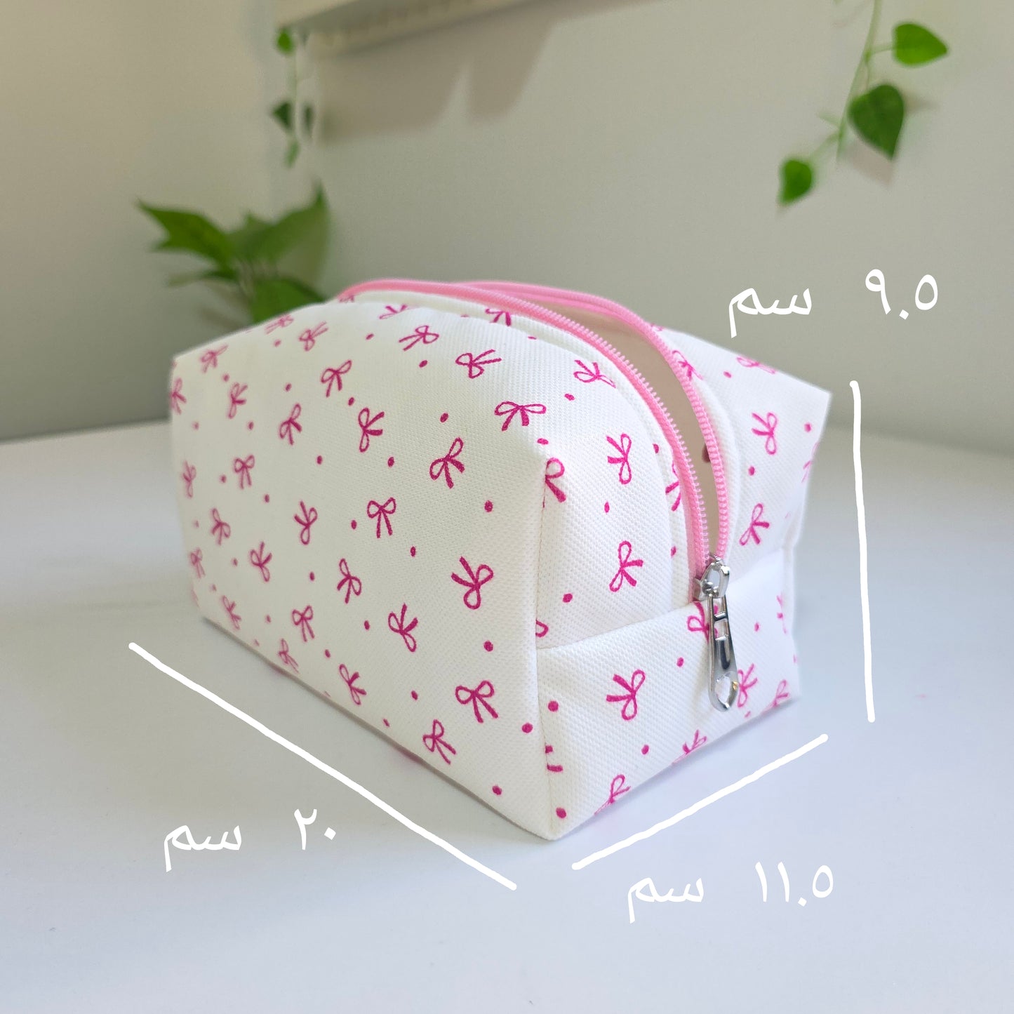 منظمات فيونكة